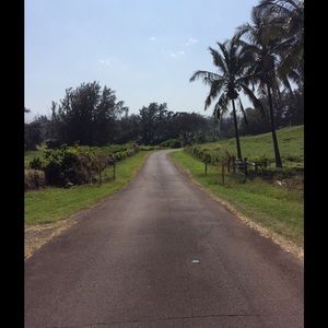 Meet your Posher, Maile