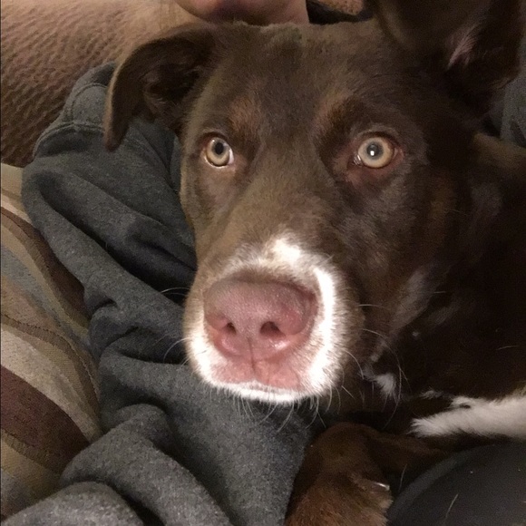 Meet your Posher, Alyssa - Picture 1 of 1