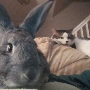 Meet your Posher, Sally