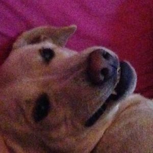 Meet your Posher, Carolyn