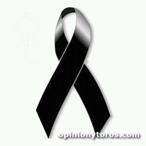 Meet your Posher, Lorena