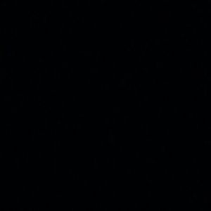 Meet your Posher, Rose