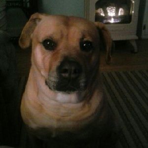 Meet your Posher, Diana