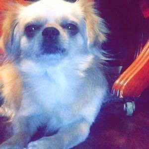 Meet your Posher, Carla