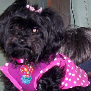 Meet your Posher, Mary