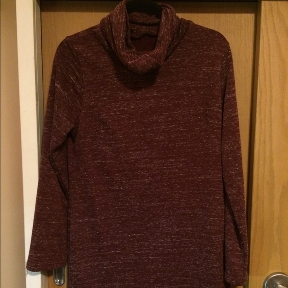 Maroon turtle neck dress