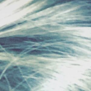 Meet your Posher, Maddie