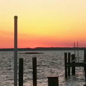 Meet your Posher, Sandy