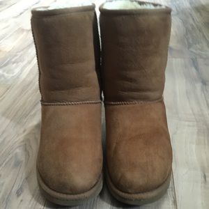 Chestnut Uggs