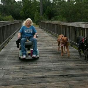 Meet your Posher, Diane