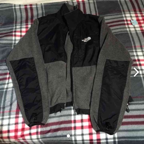 The North Face Jackets & Blazers - The north face
