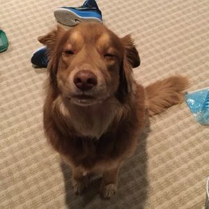 Meet your Posher, Sally