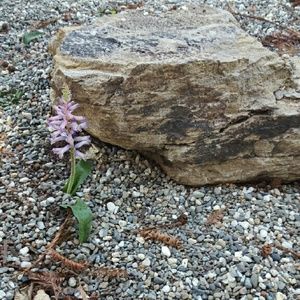 Meet your Posher, Ingrid