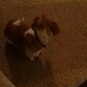 Meet your Posher, Paula