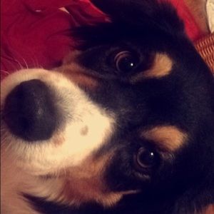 Meet your Posher, Olivia