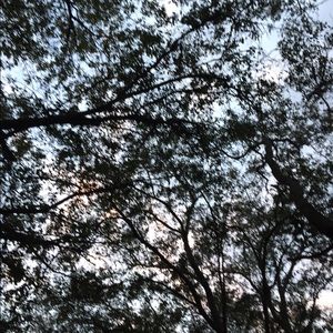 Meet your Posher, Bella