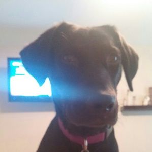 Meet your Posher, Marisa