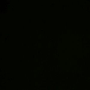 Meet your Posher, Rossy