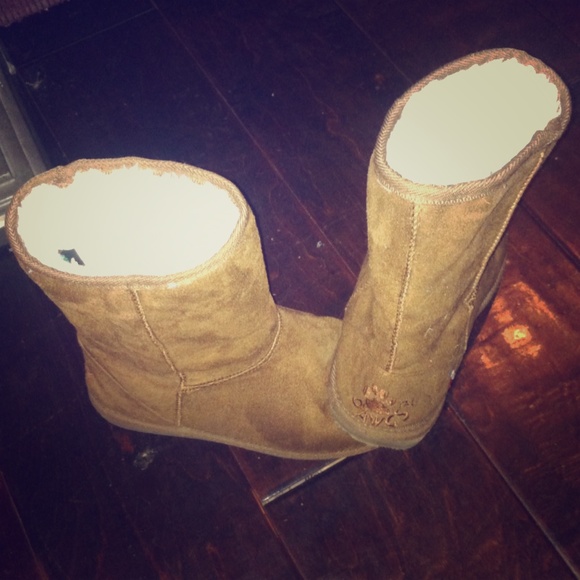 DAWGS chestnut short boots