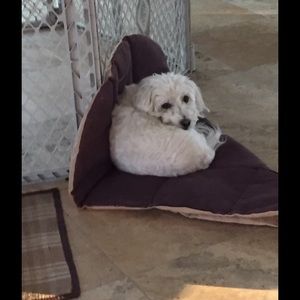 Meet your Posher, Kirk