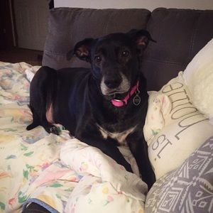 Meet your Posher, Jen