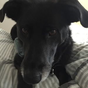 Meet your Posher, Chelsea