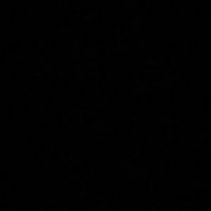 Meet your Posher, Timothy