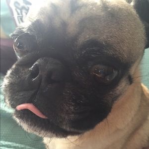 Meet your Posher, Nina