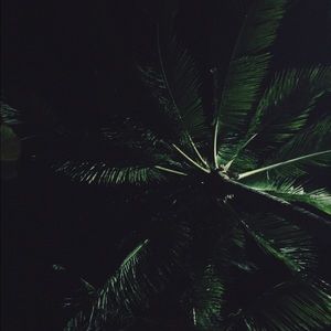 Meet your Posher, Adrienne