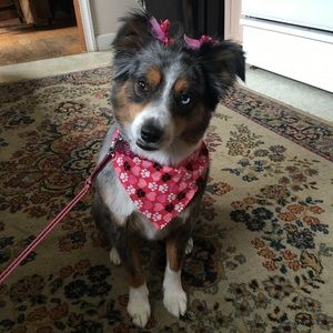 Meet your Posher, Rosalee