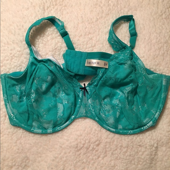 Lane Bryant Cacique Lace Aqua Bra (42DD)