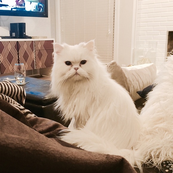 Moving! Taking a break from selling! 😿 - Picture 1 of 1