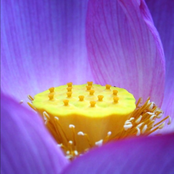 Well...  😌💋🌸🌸🌸🌸 - Picture 4 of 4