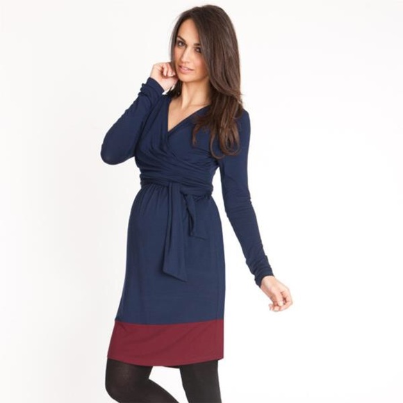 A Pea in the Pod Dresses & Skirts - NWT Nursing / Maternity Dress - Seraphine Enja