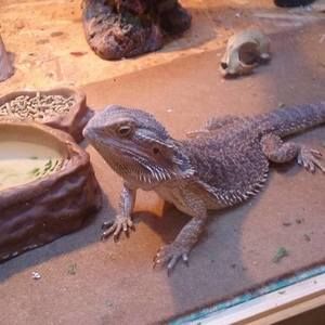 Meet your Posher, Christy