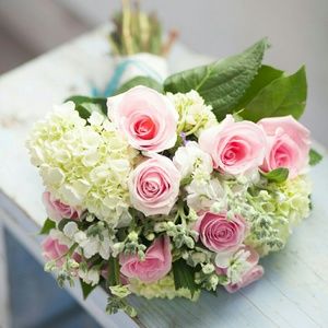 Meet your Posher, Ying