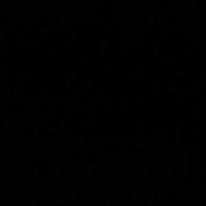 Meet your Posher, Victor