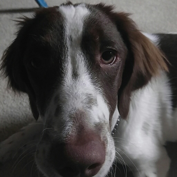 About me/why I sell on Poshmark! Read whole listing! - Picture 2 of 8