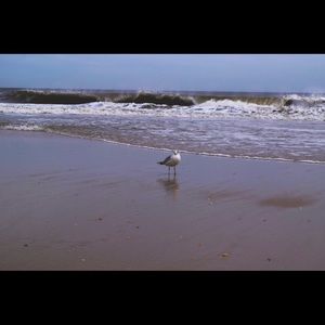 Meet your Posher, Jordan