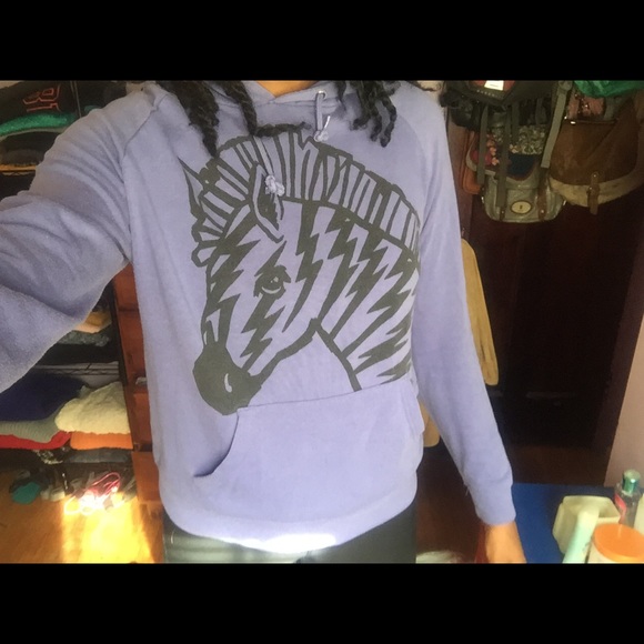 Zebra Hoodie from pacsun
