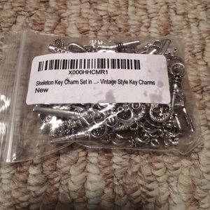 Skeleton key charm set (47 keys)