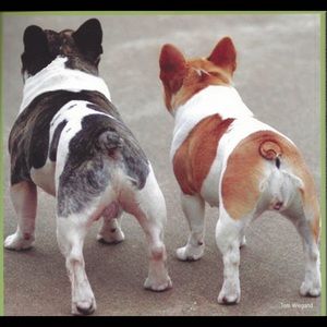 Meet your Posher, Suzanne