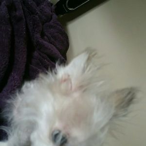 Meet your Posher, Jo