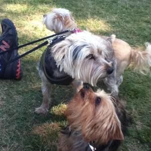 Meet your Posher, Marcie