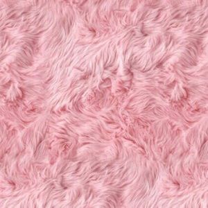 Meet your Posher, Anca