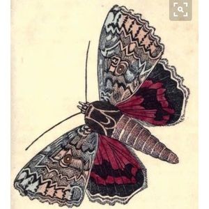 Meet your Posher, Liliana