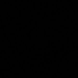 Meet your Posher, Annjanette