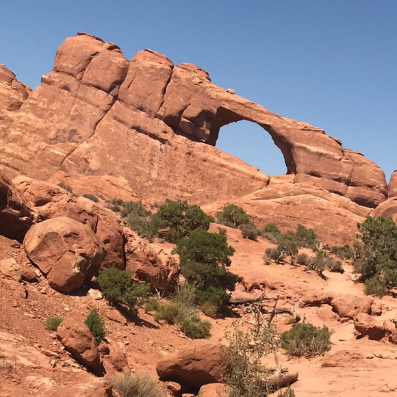 Meet your Posher, Claire - Picture 2 of 3