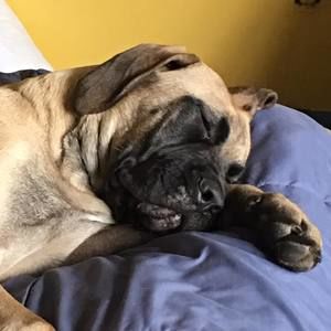 Meet your Posher, Sabrina