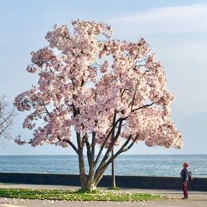 I Quit My Job to Travel the World!!